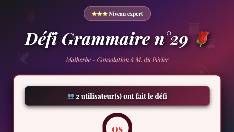 Défi grammaire n°29
